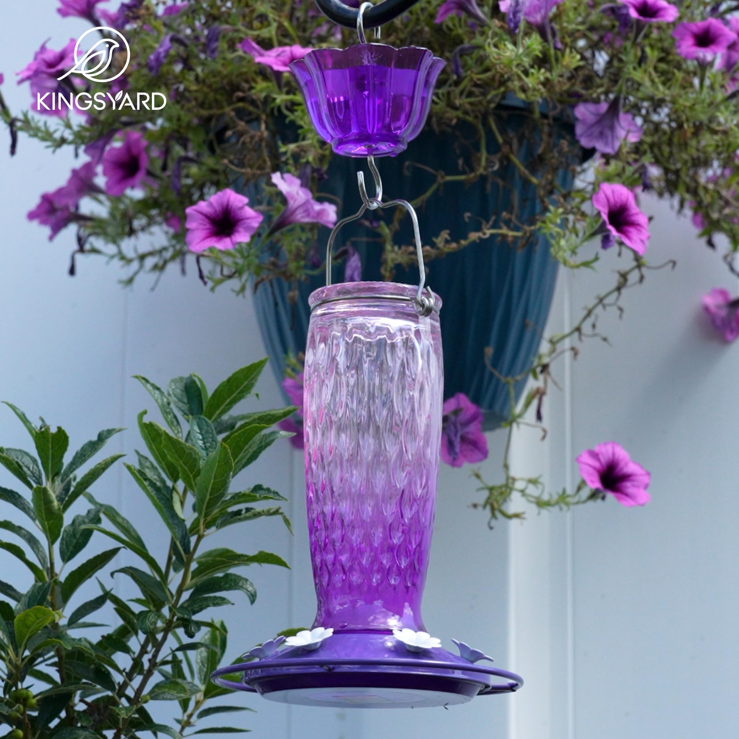 24-ounce glass reservoir shows nectar level clearly.