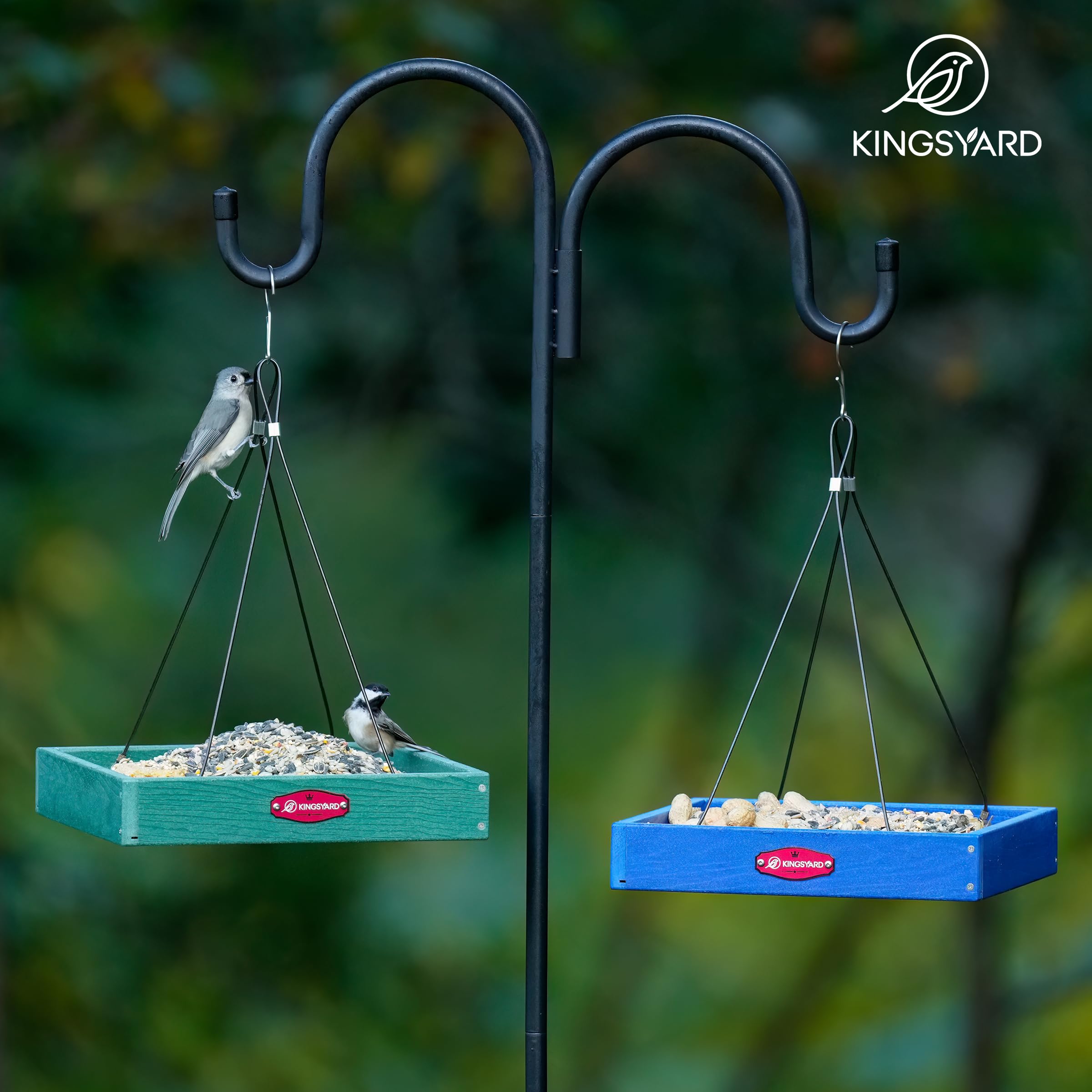 Kingsyard large 3.5 lb capacity can feed more birds