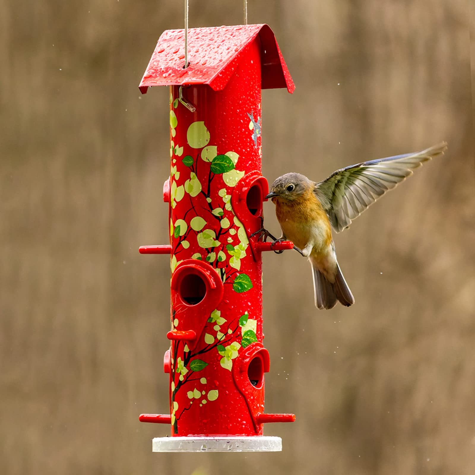 Kingsyard large-capacity feeder holds up to 2 lbs of seed