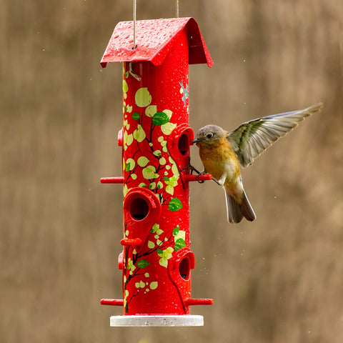 Kingsyard large-capacity feeder holds up to 2 lbs of seed