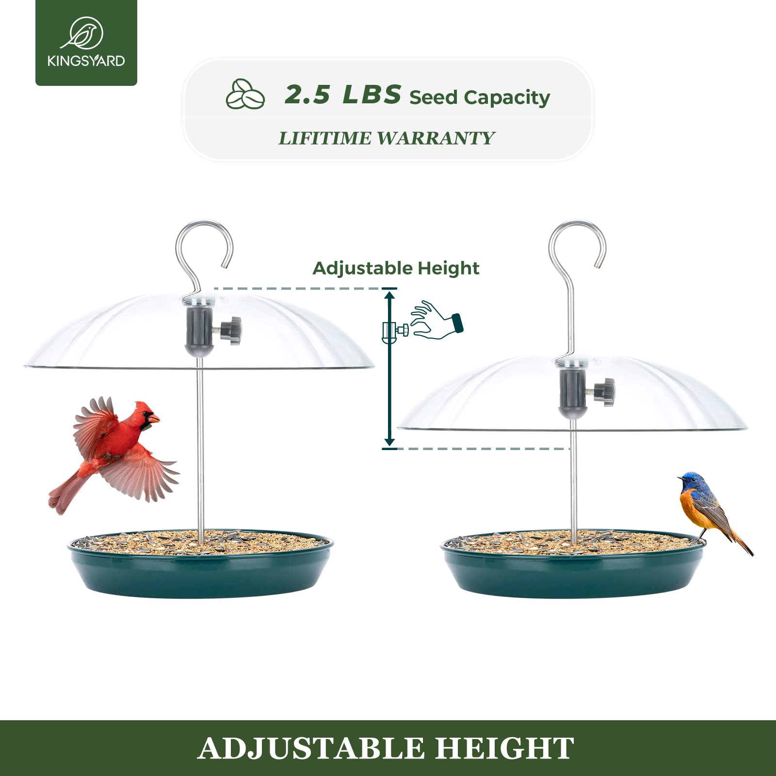 Kingsyard large-capacity seed tray ready for extended backyard birding sessions