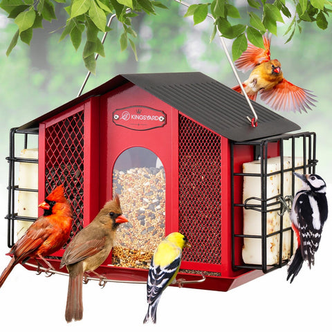 Kingsyard large metal bird feeder with double suet cages inviting woodpeckers and songbirds year-round.