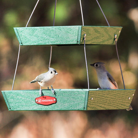 Kingsyard weather-resistant feeder keeps seeds dry through rain and snow.
