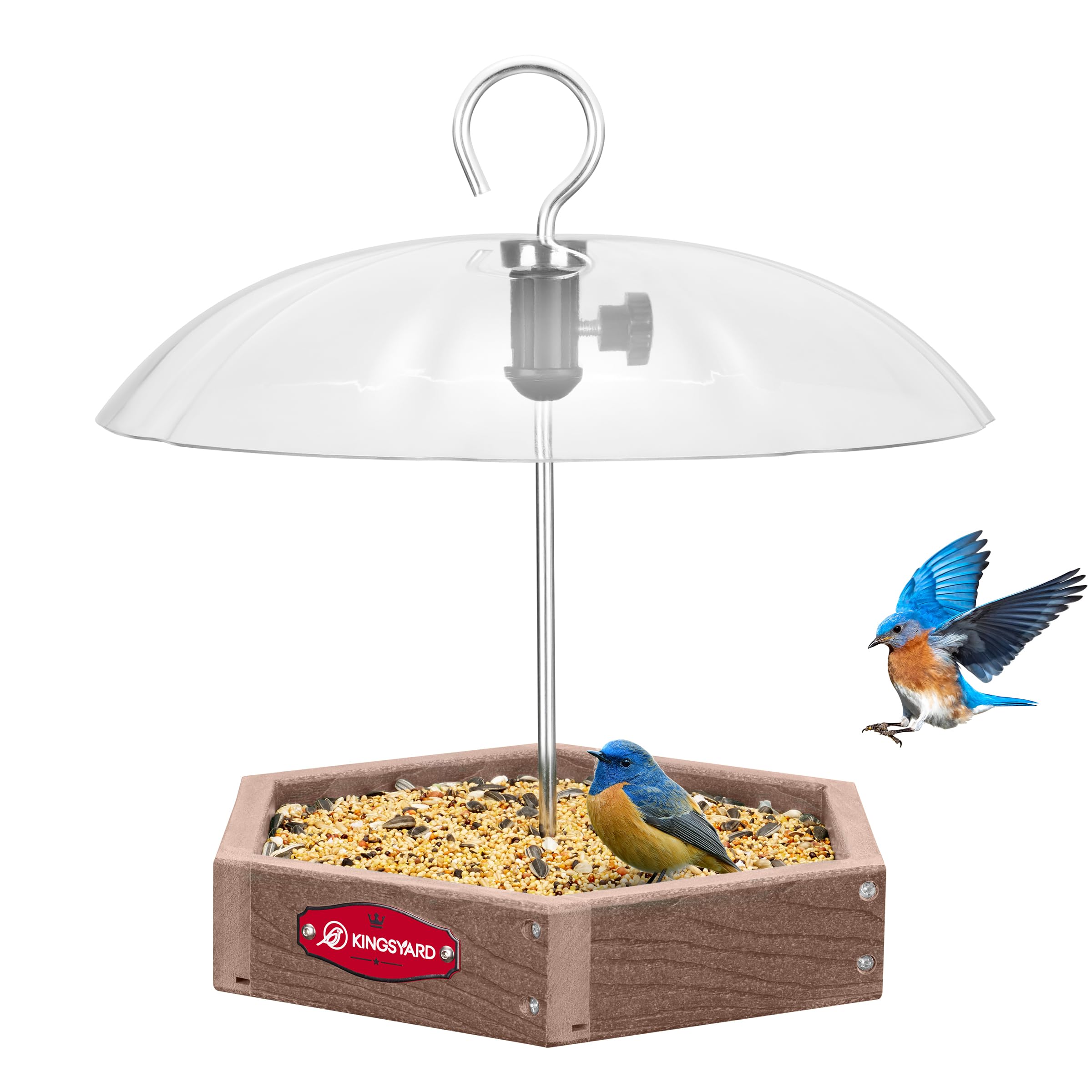 Kingsyard large platform feeder with adjustable dome attracts bluebirds, cardinals, and goldfinches