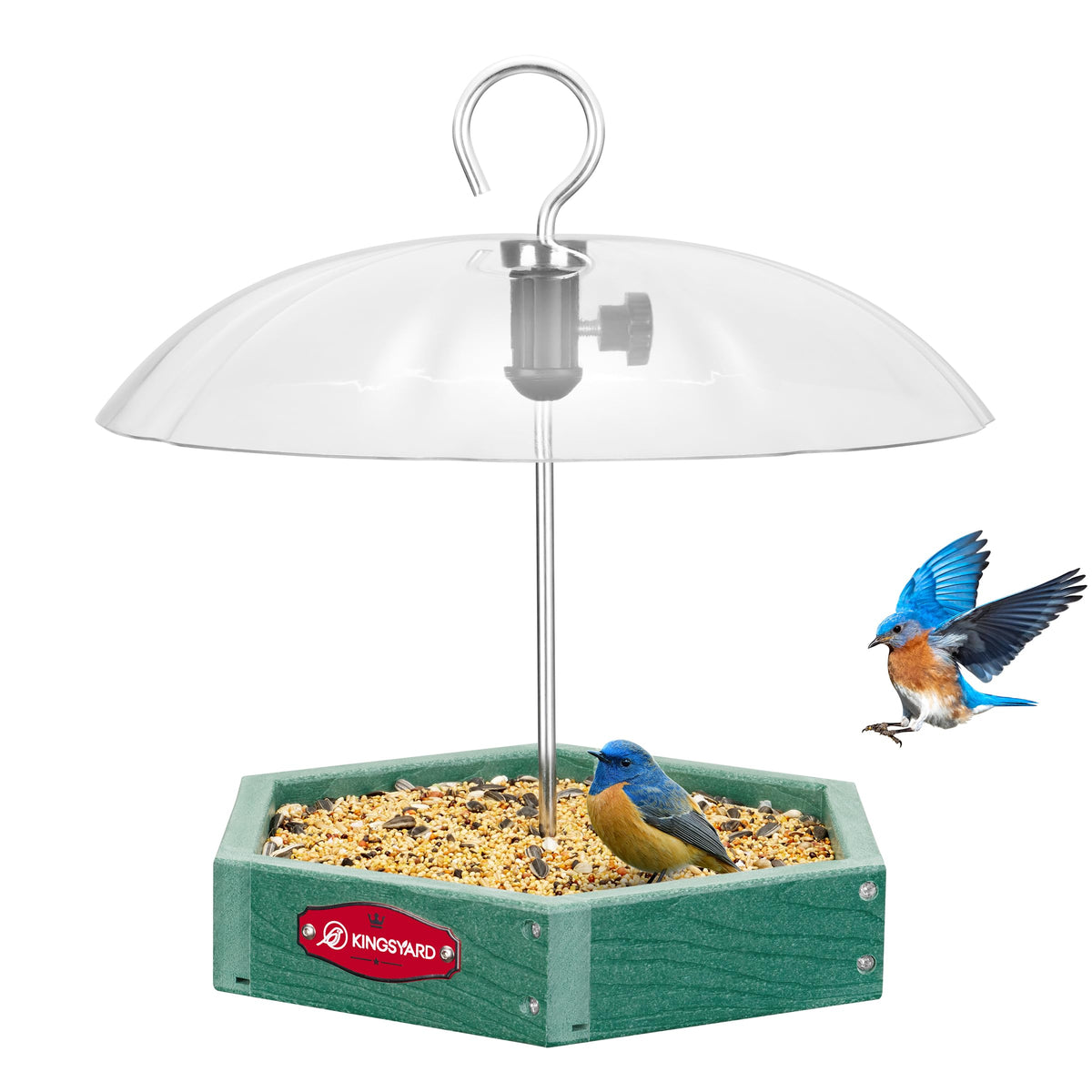 Kingsyard large platform feeder dome enables controlled bird access for bluebirds.
