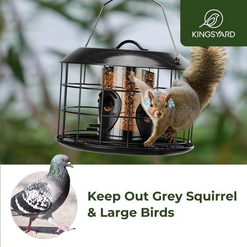 Kingsyard durable metal feeder resists chewing for long-lasting use