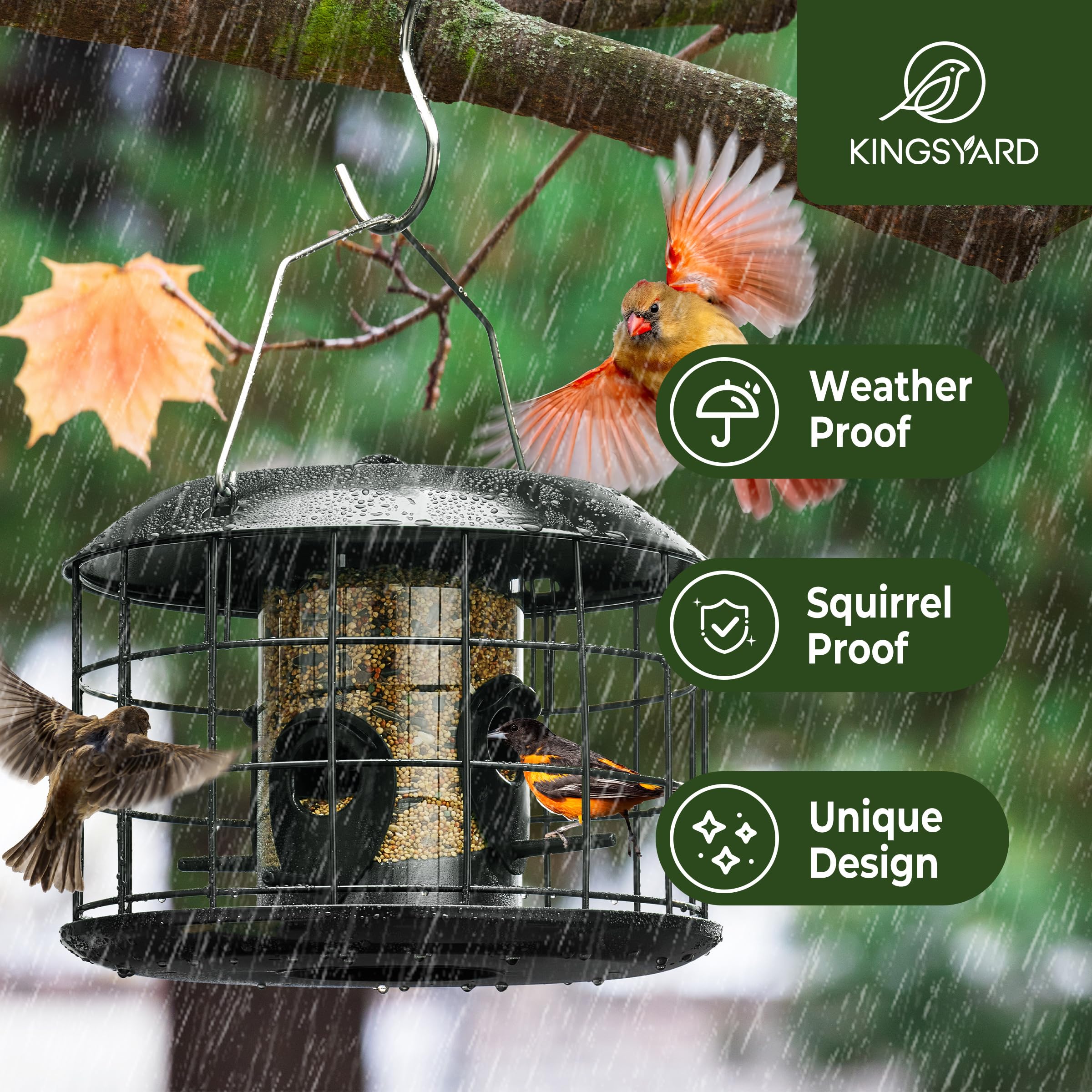Kingsyard feeder with four ports around the tube attracts small birds from all sides