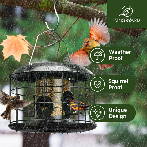 Kingsyard feeder with four ports around the tube attracts small birds from all sides
