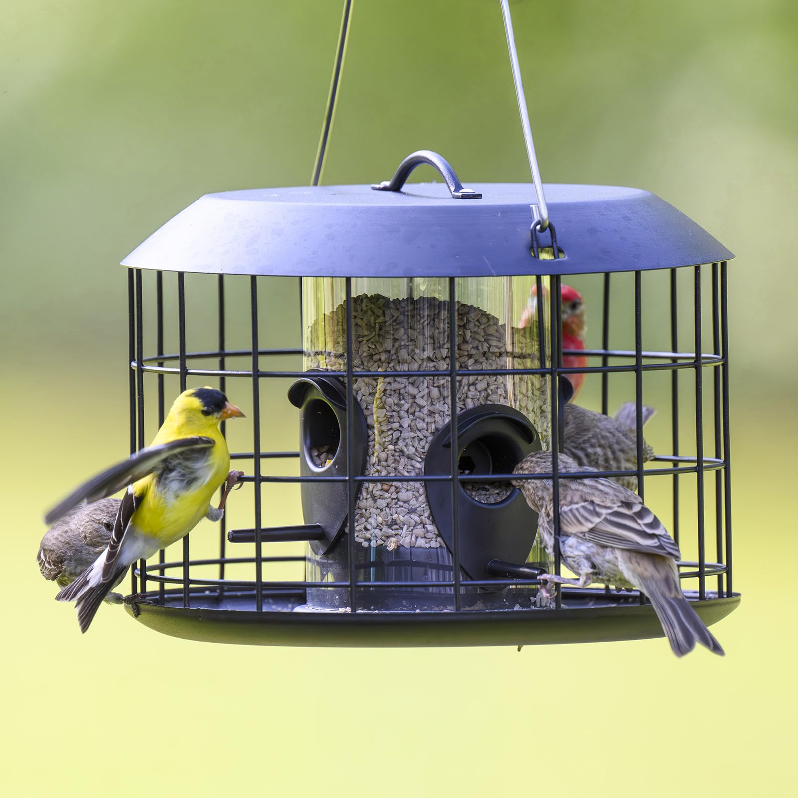 Kingsyard mesh caged bird feeder, squirrel-proof design minimizes seed loss
