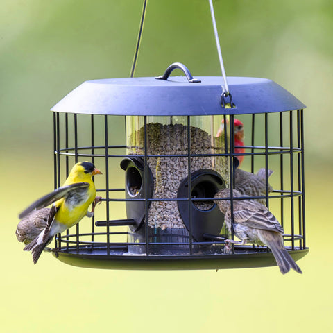 Kingsyard mesh caged bird feeder, squirrel-proof design minimizes seed loss