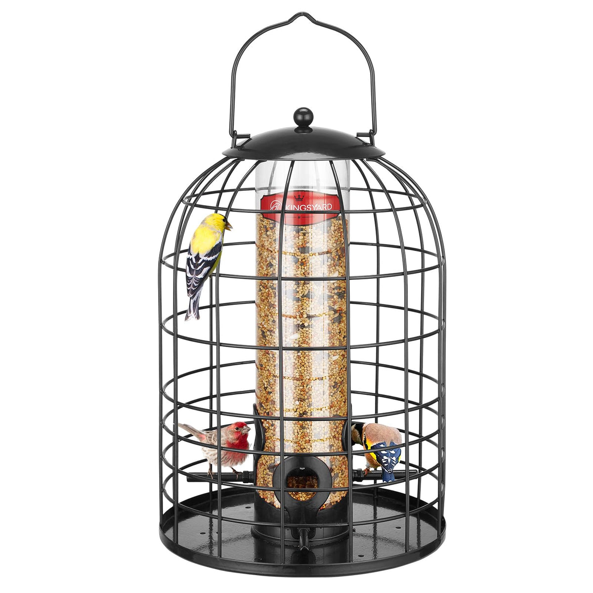 Kingsyard metal bird feeder with anti-squirrel cage protecting seed for small birds