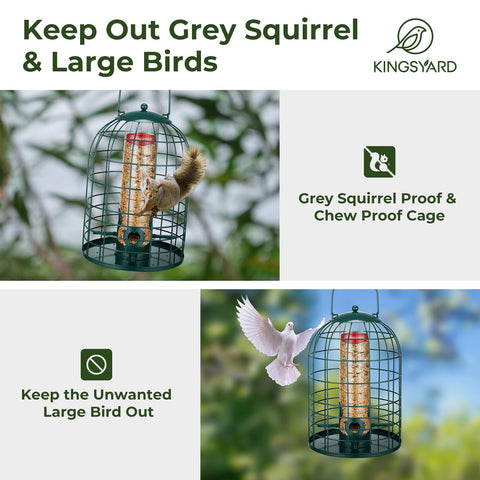 Kingsyard detachable seed tube enables quick cleaning and refills.