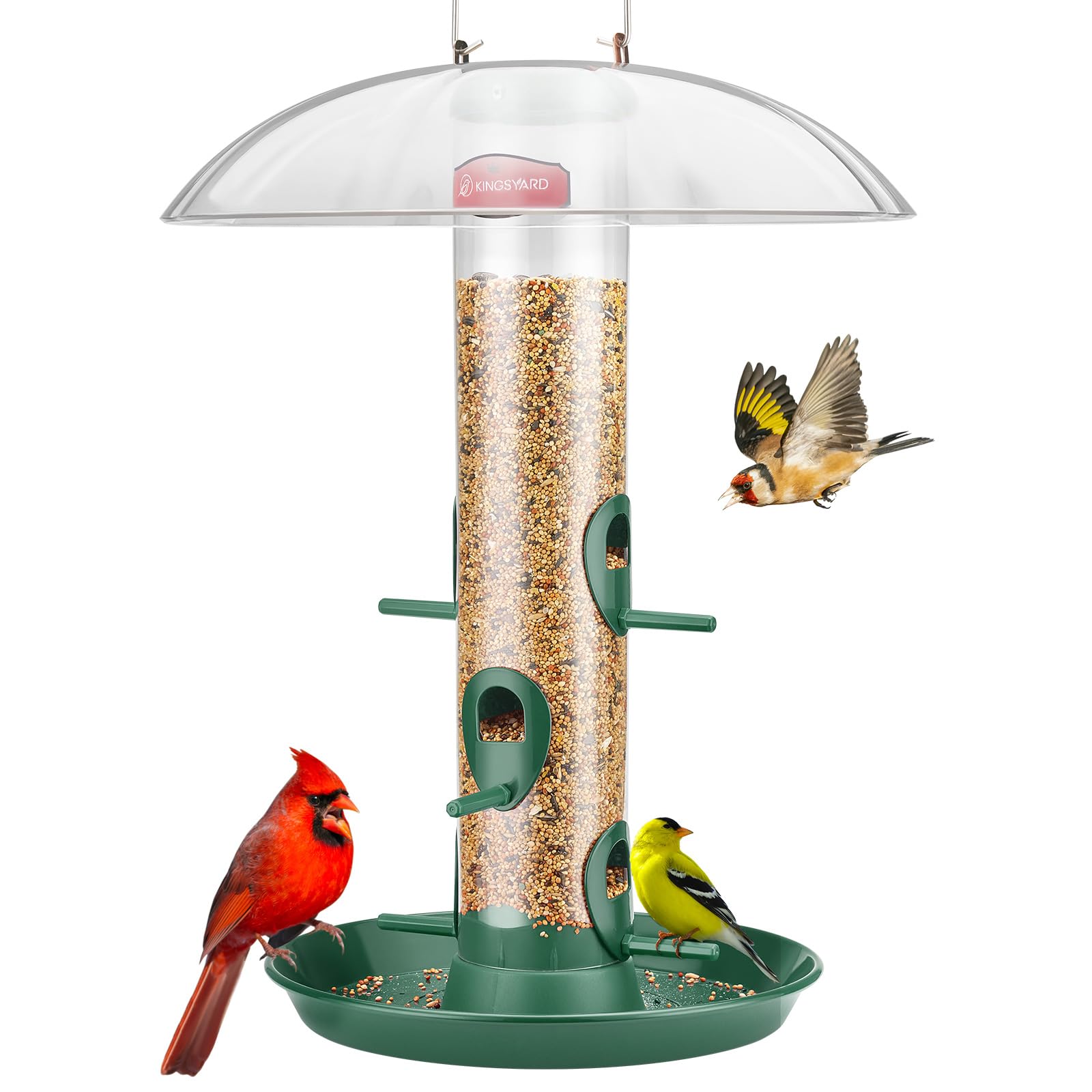 Kingsyard metal bird feeder with dome provides sheltered dining for birds.