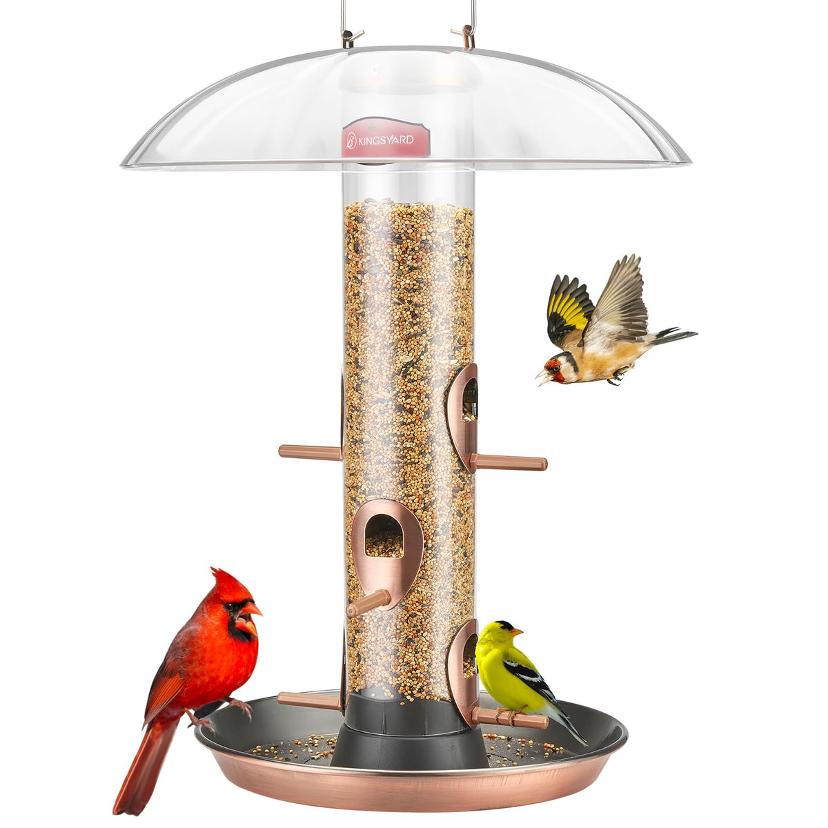 Kingsyard metal bird feeder outdoors with a protective dome for dry seeds.