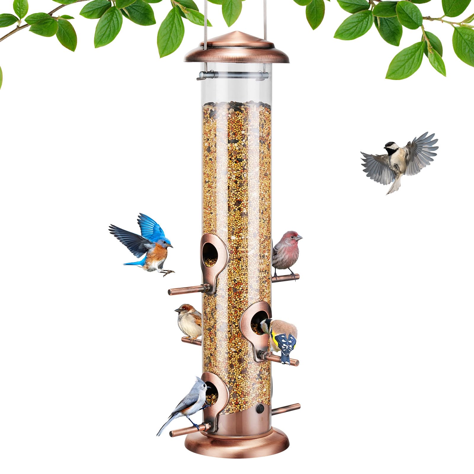 Kingsyard metal bird feeder with six ports for multi-bird dining outdoors.