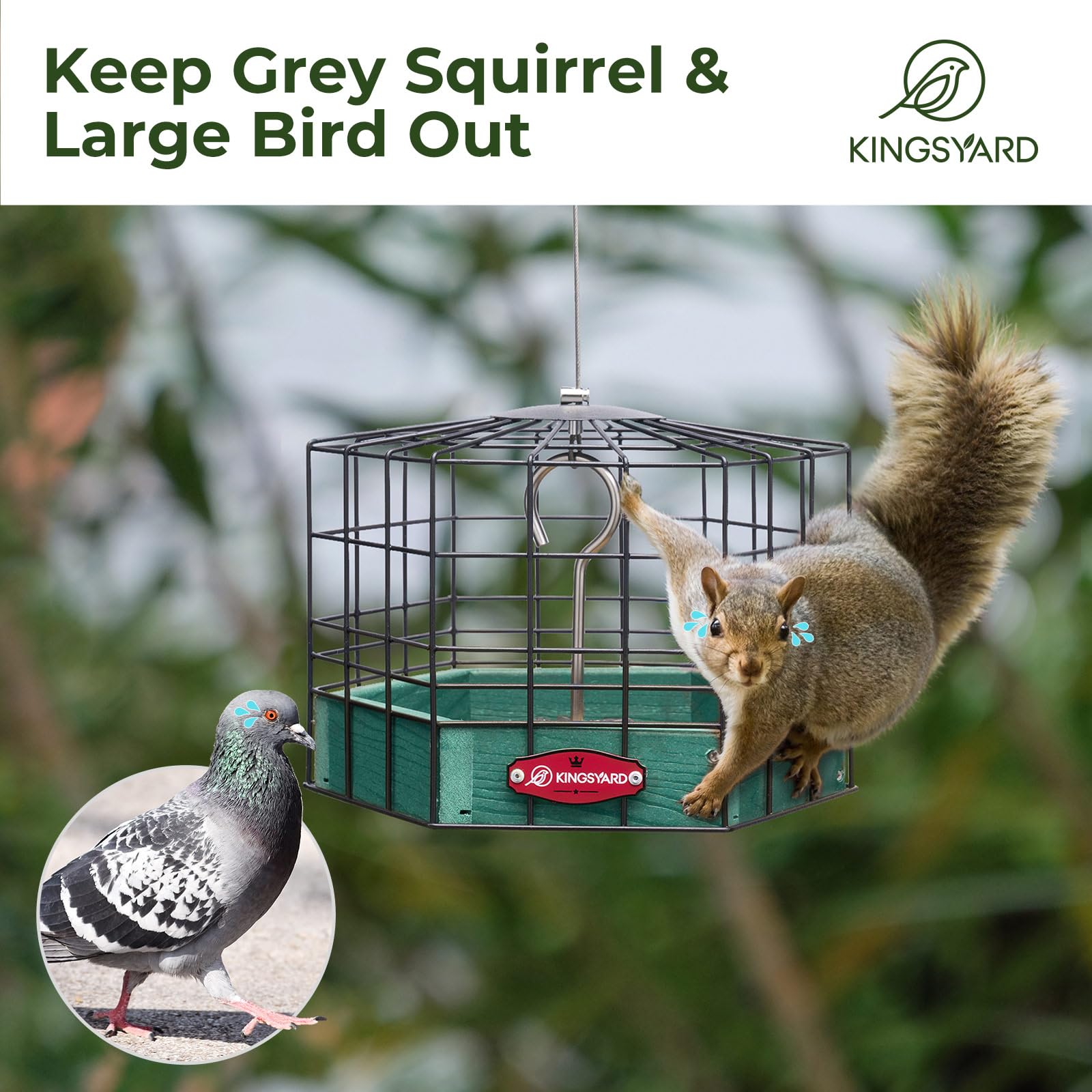 Kingsyard metal mesh tray provides ventilation to keep seeds fresh for visiting birds.
