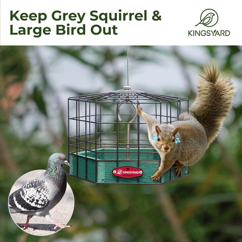 Kingsyard metal mesh tray provides ventilation to keep seeds fresh for visiting birds.