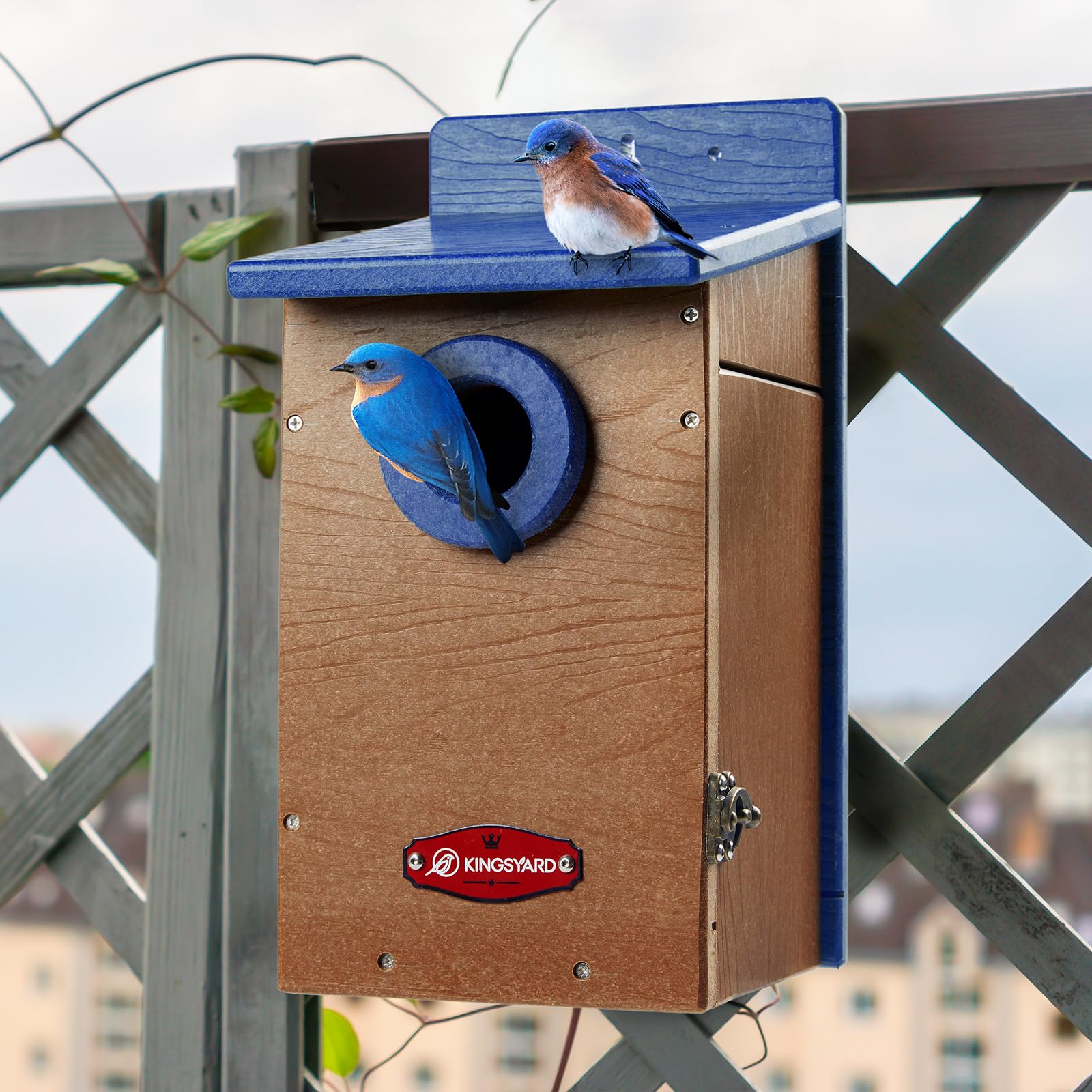 Kingsyard bluebird-nest-box ideal for bird watchers and nature lovers.