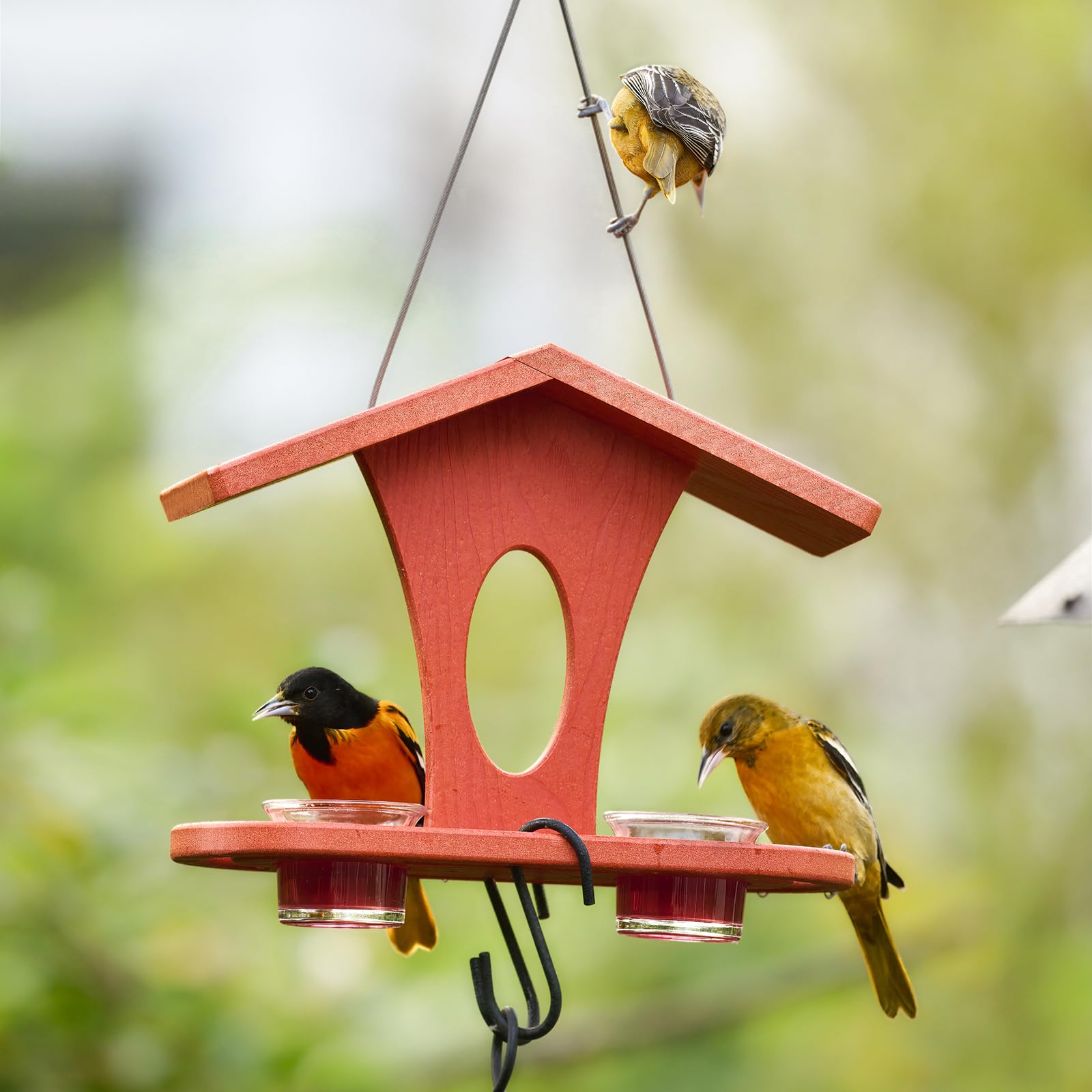 Kingsyard oriole feeder shows two 5 oz dishes for easy refills.