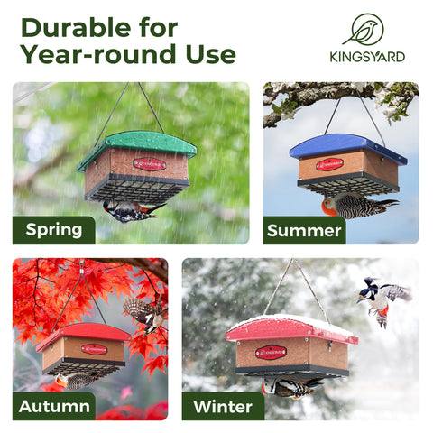 Kingsyard Outdoor Bird Garden Setup enhances backyard birdwatching experiences.