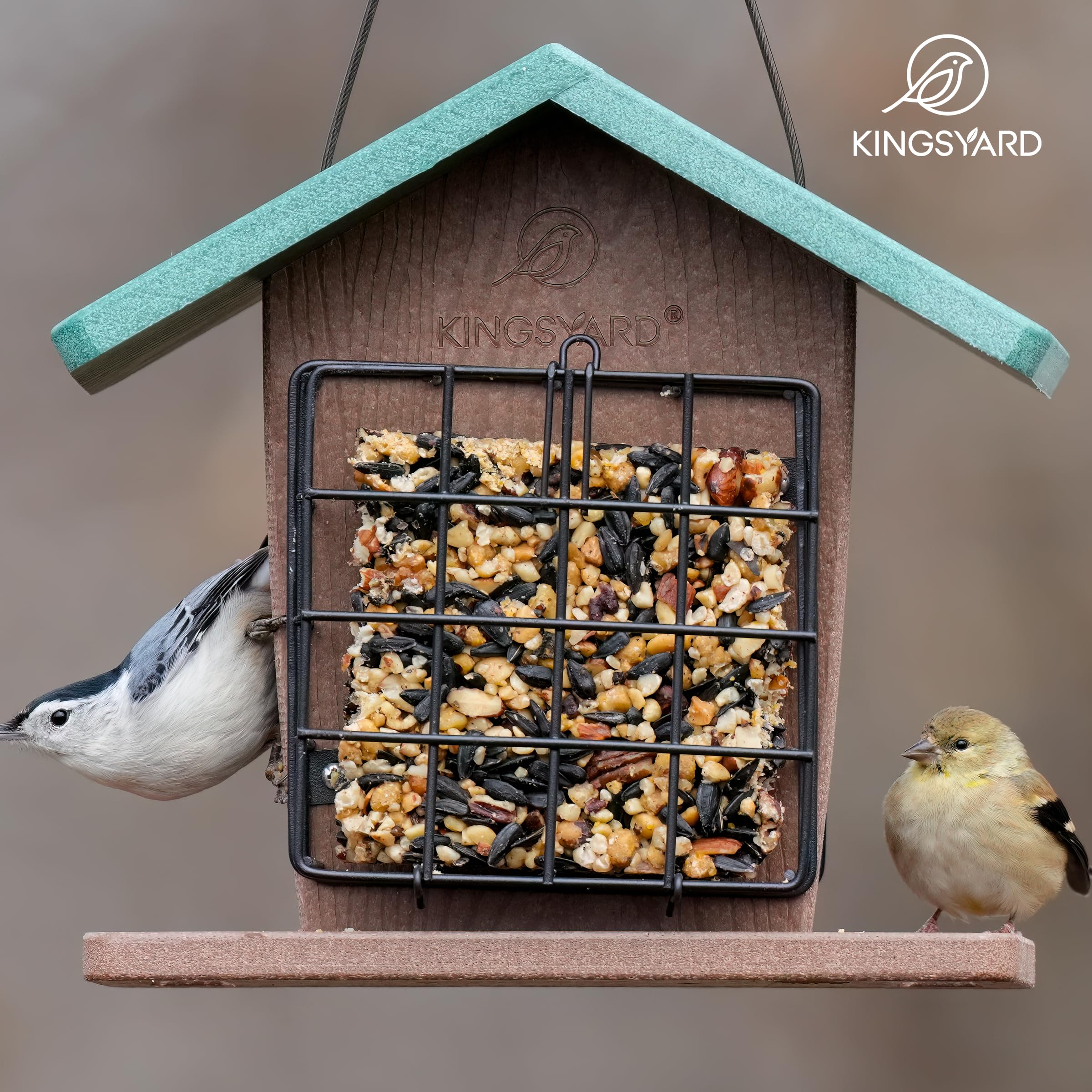 Kingsyard outdoor feeder with perch supports comfortable bird visits and longer viewing opportunities.
