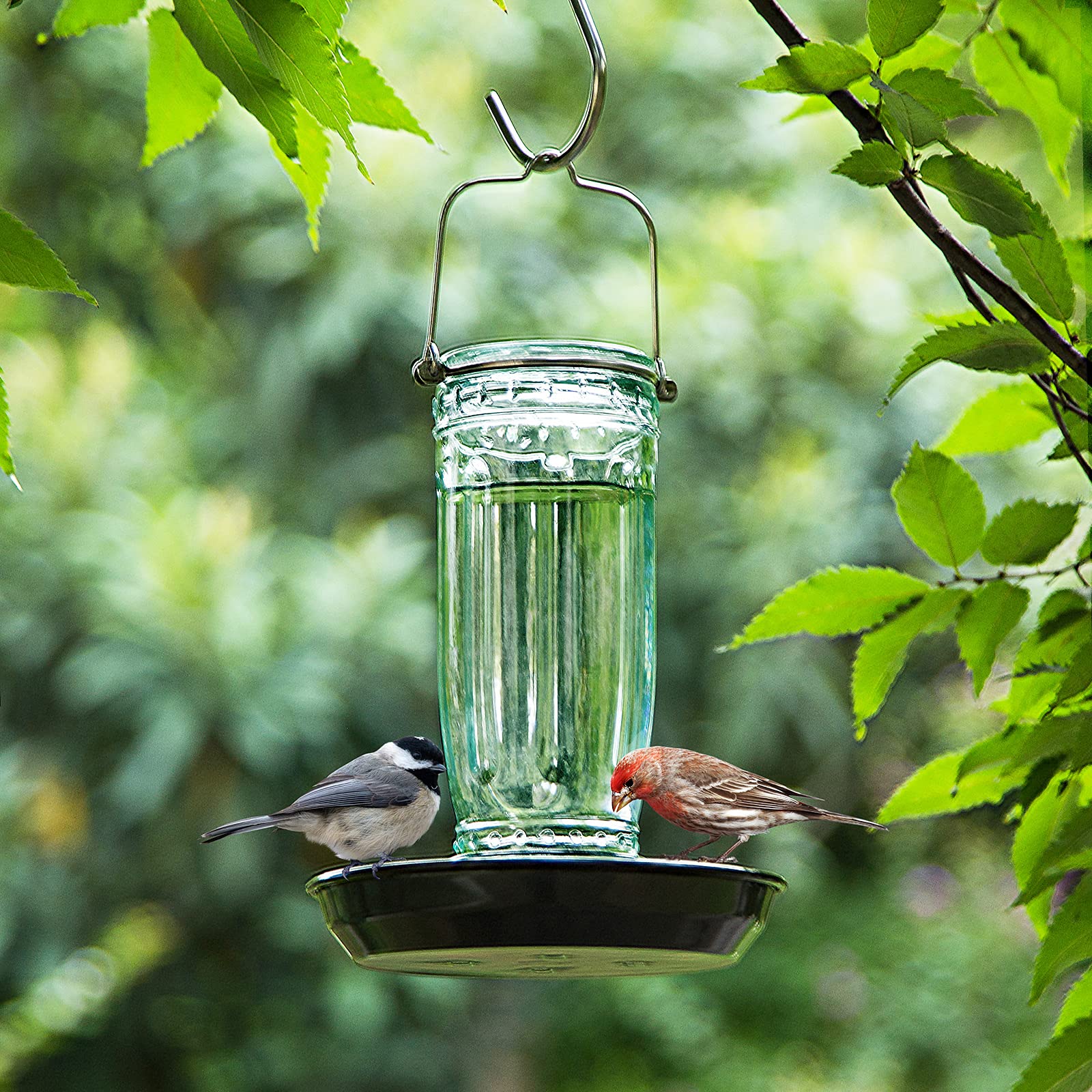 Kingsyard outdoor decorative bird water feeder with sturdy base.