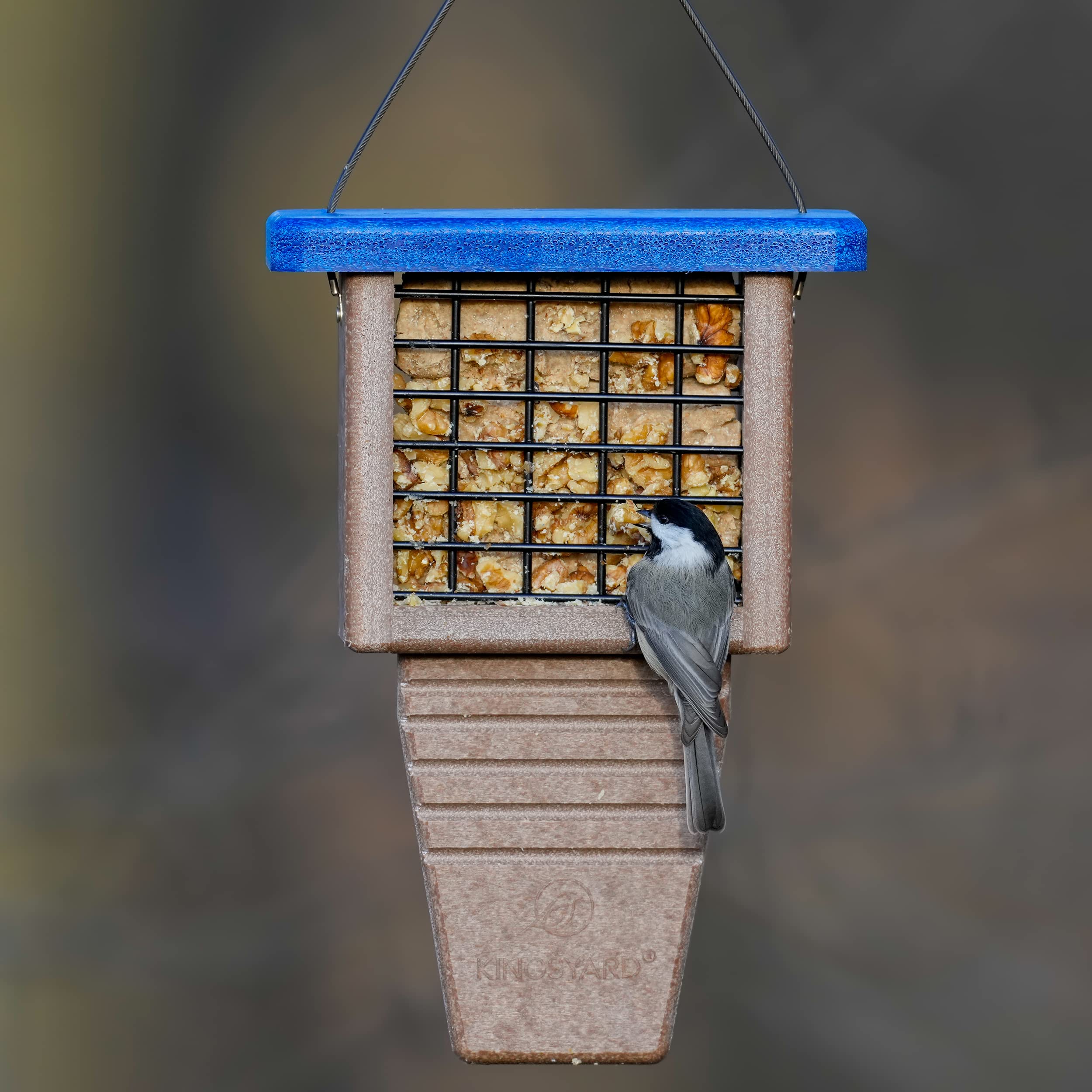 Kingsyard outside-hanging suet feeder shown in a natural garden setting.