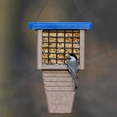 Kingsyard outside-hanging suet feeder shown in a natural garden setting.