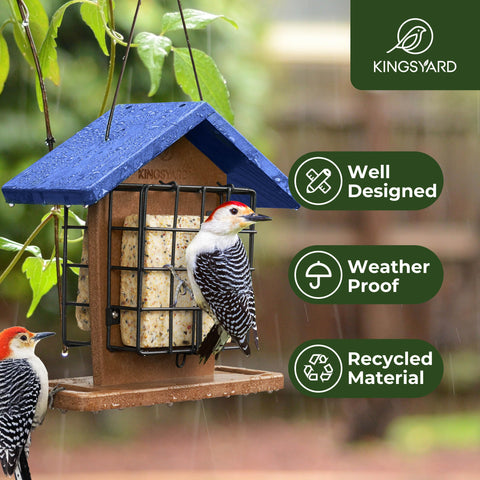 Kingsyard rainproof roof detail illustrating weather-ready protection for birds.