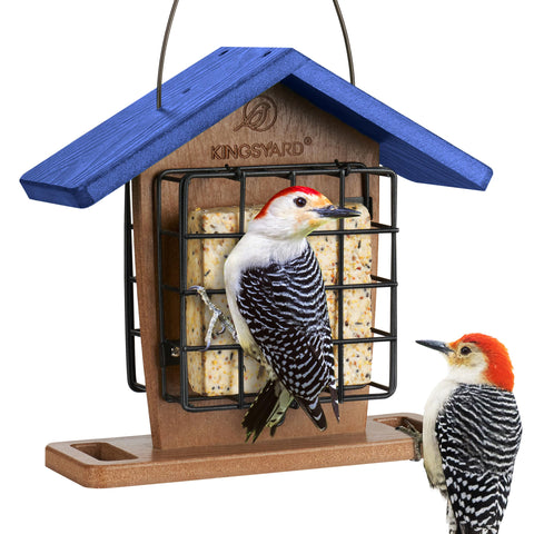 Kingsyard double suet feeder close-up showing durable recycled plastic for year-round outdoor use.