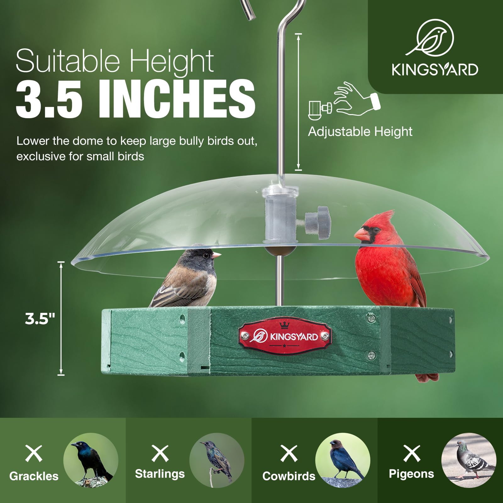 Kingsyard rotating squirrel-guard dome reduces spills and keeps feed secure.