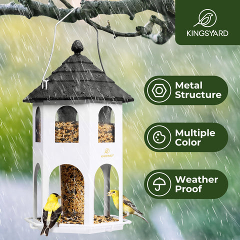 Kingsyard seed feeder 4 lb capacity keeps seeds stocked for busy backyard visits.