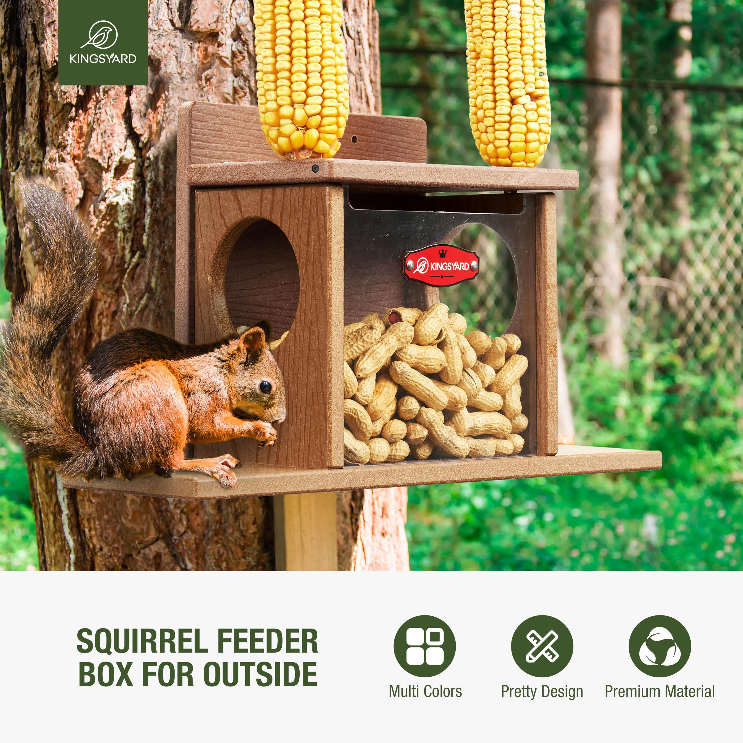 Kingsyard Squirrel Feeder Box clear front panel for easy cleaning and refills.