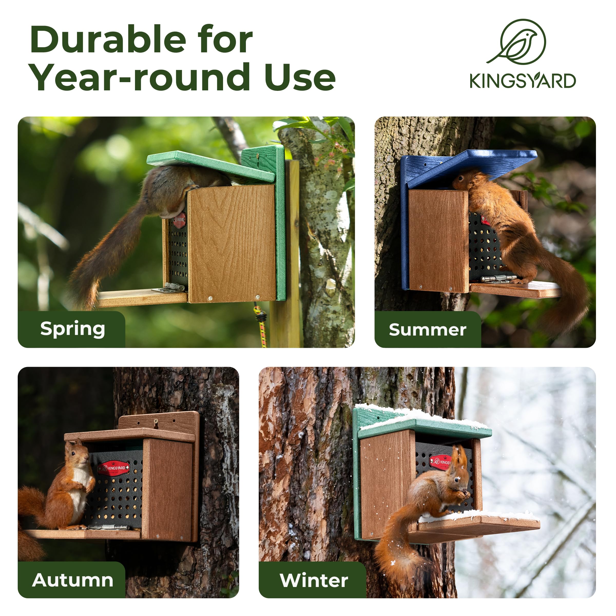 Squirrels visit the Kingsyard feeder, showing garden wildlife appeal