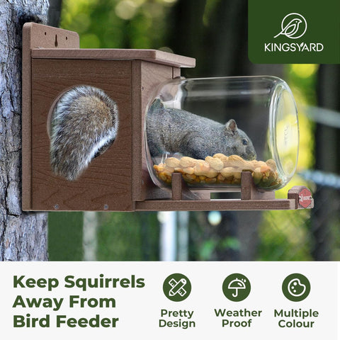 Kingsyard squirrel feeder jar with peanuts and corn storage keeps treats dry and accessible.