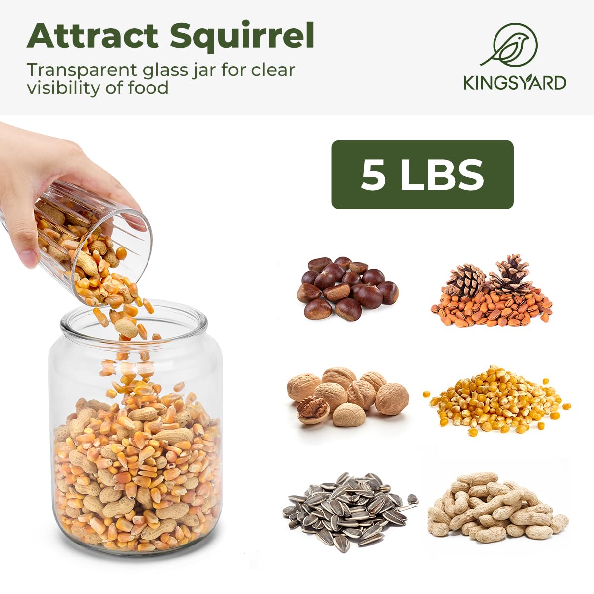 Squirrels feeding from the Kingsyard feeder, highlighting wildlife interaction.
