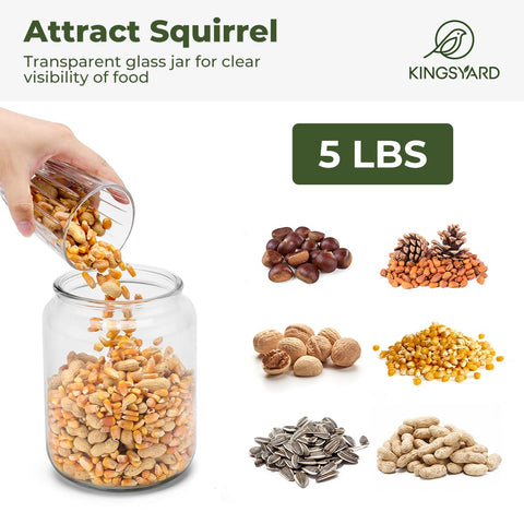 Squirrels feeding from the Kingsyard feeder, highlighting wildlife interaction.