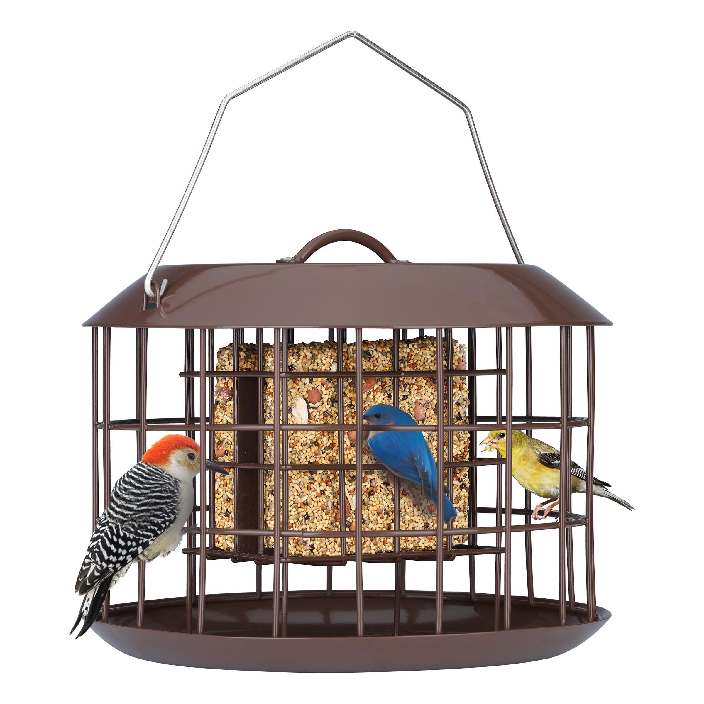 Kingsyard Squirrel Proof Cage lets small birds feed safely while deterring larger rodents