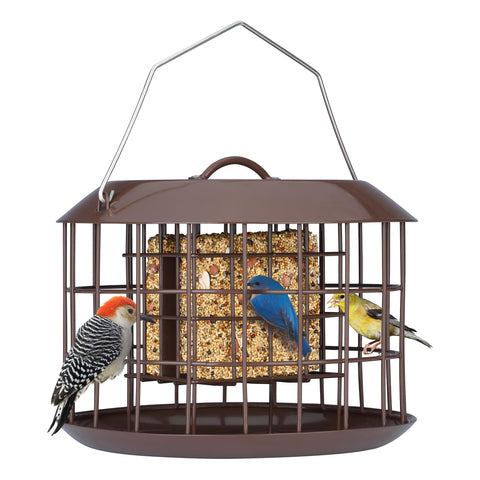 Kingsyard Squirrel Proof Cage lets small birds feed safely while deterring larger rodents