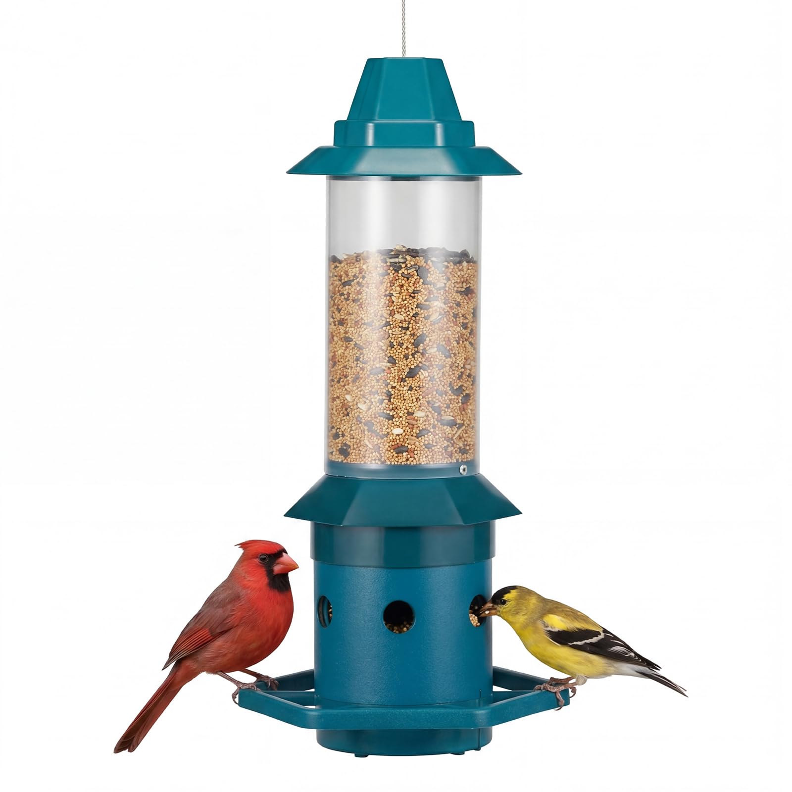 Kingsyard squirrel-proof feeder perch keeps seed safe while you enjoy birds.