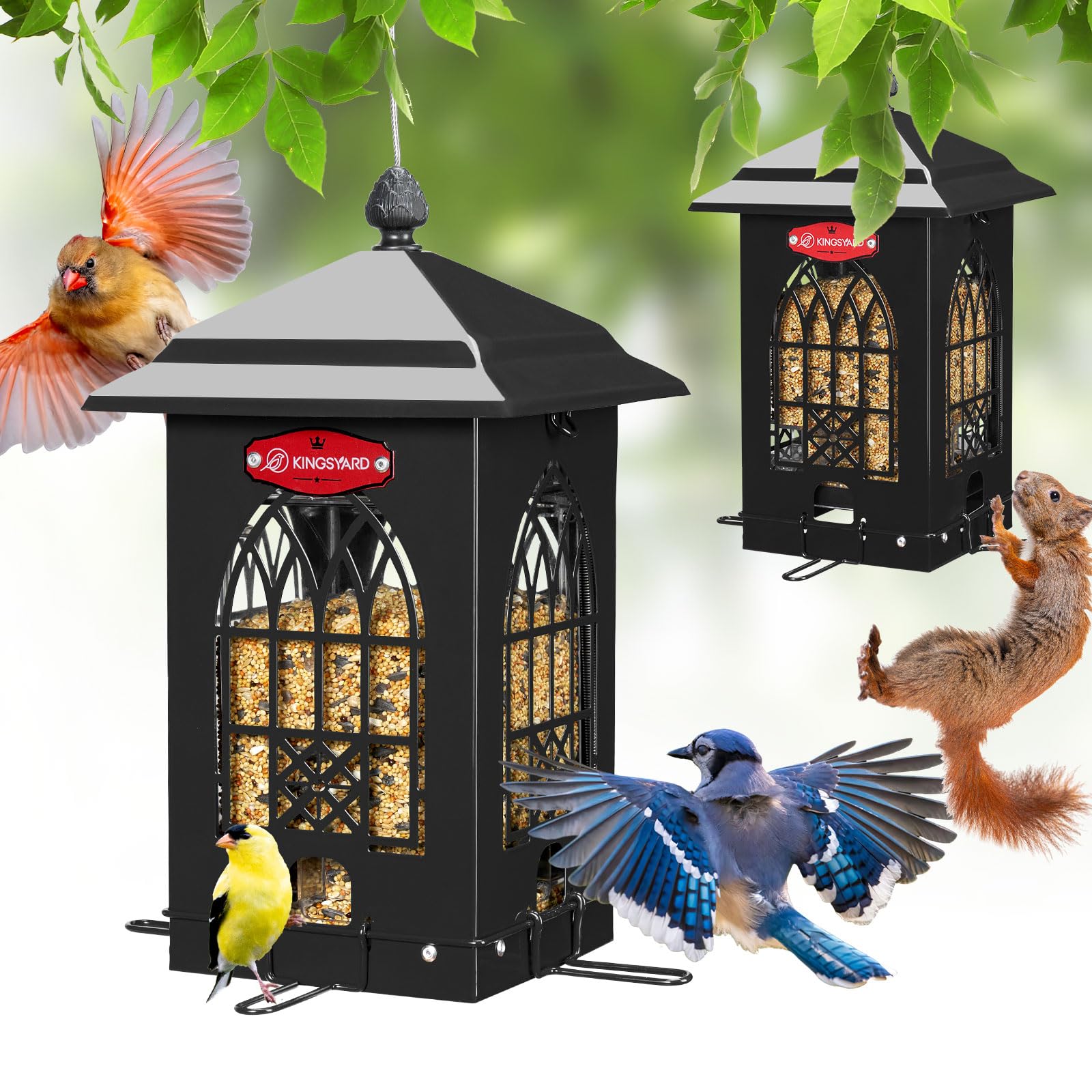 Kingsyard squirrel-proof feeder with weight-activated perches deters intruders while welcoming small birds.