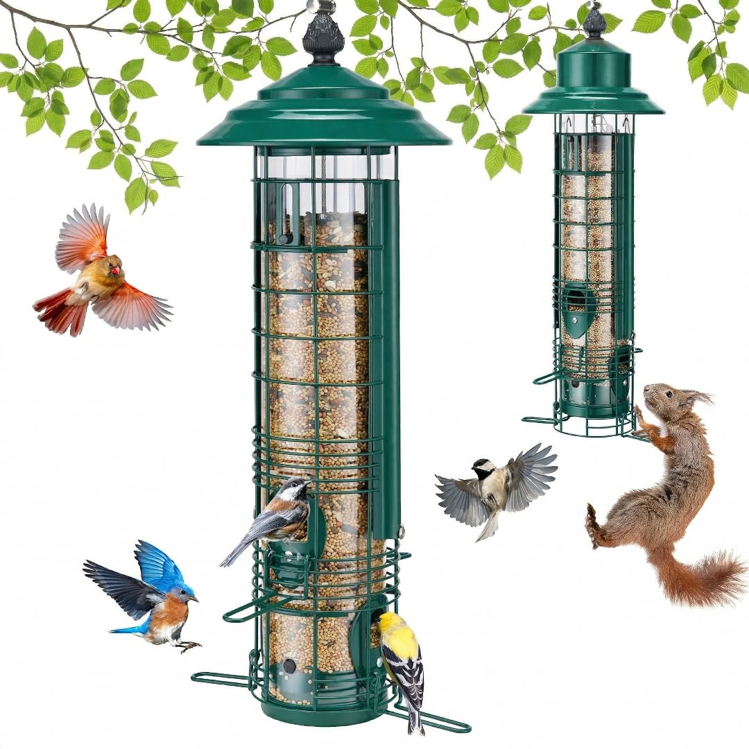 Kingsyard Squirrel-Proof Feeder with weight-activated perches for safer backyard bird feeding.