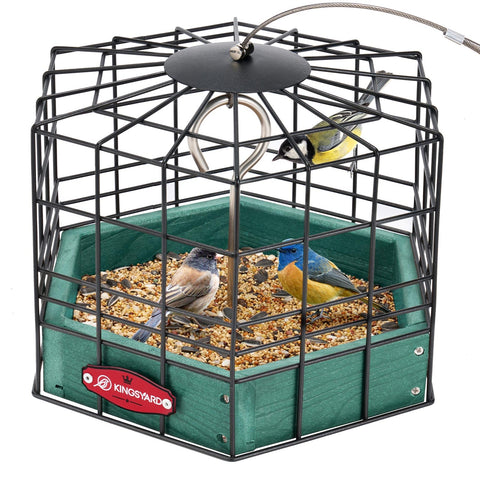 Kingsyard squirrel-proof platform feeder with metal mesh cover for small wild birds.