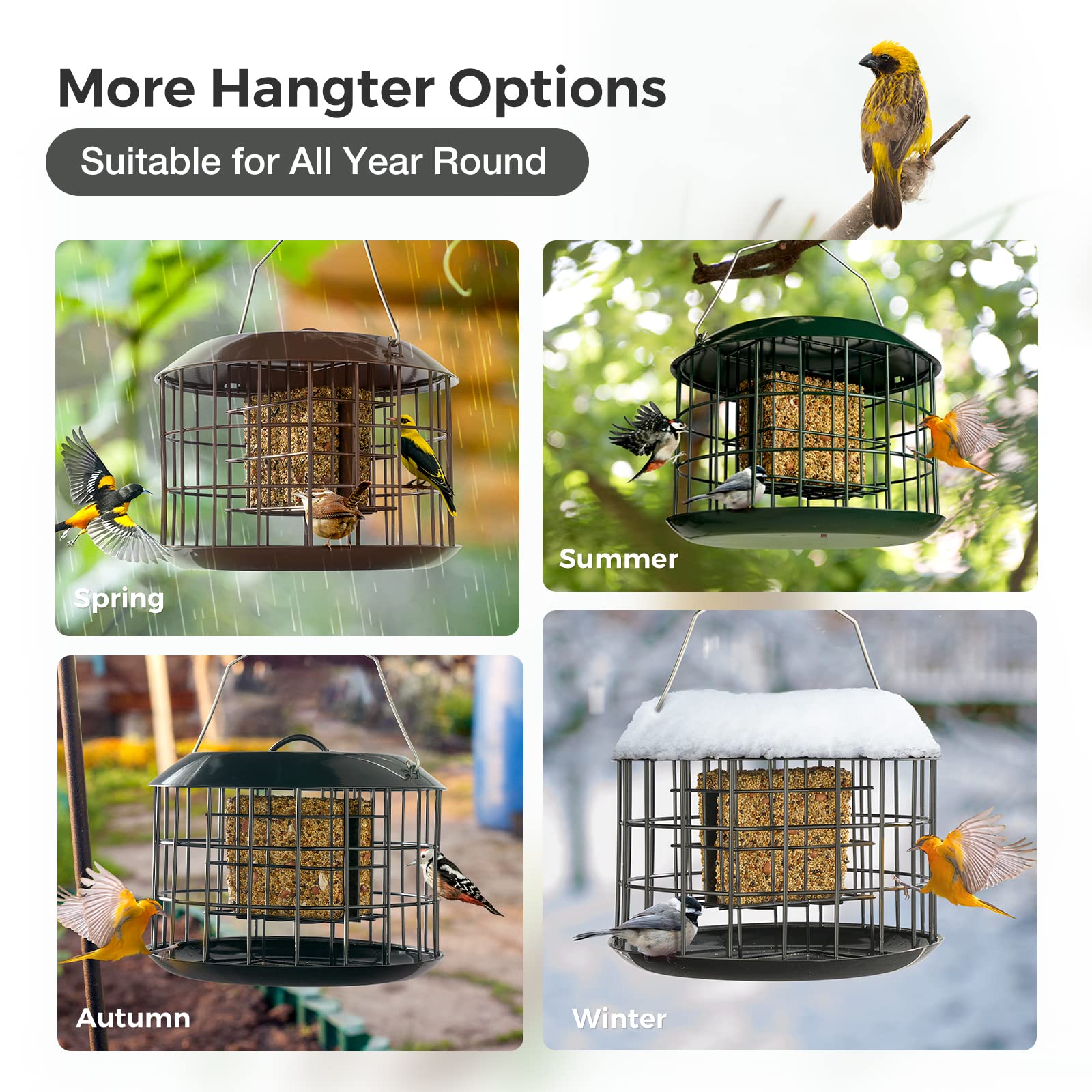 Kingsyard squirrel-proof suet feeder weatherproof finish withstands rain and snow.