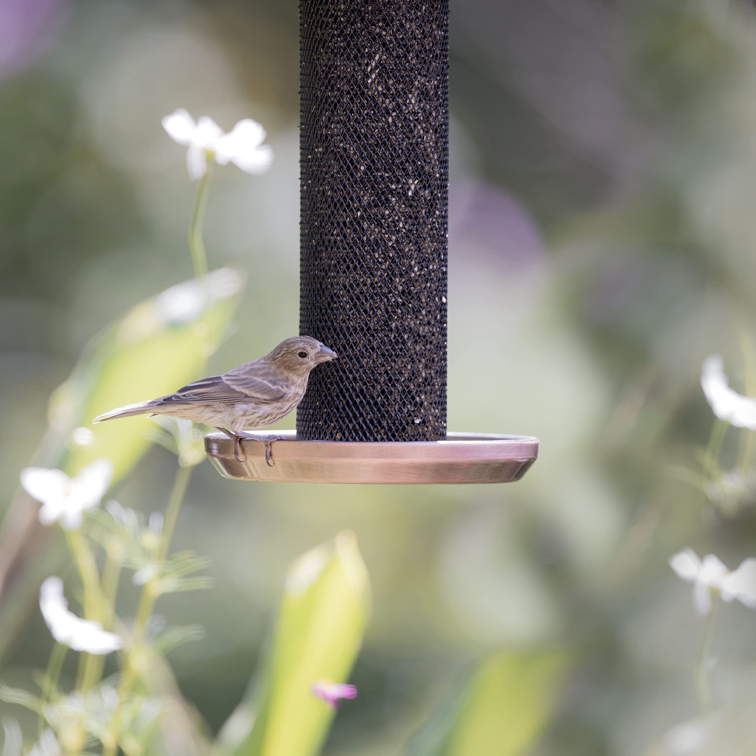 Kingsyard Thistle Feeder makes a thoughtful gift for bird lovers