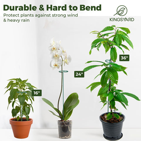 Kingsyard top ring accommodates stems with 2-4 inch diameter.