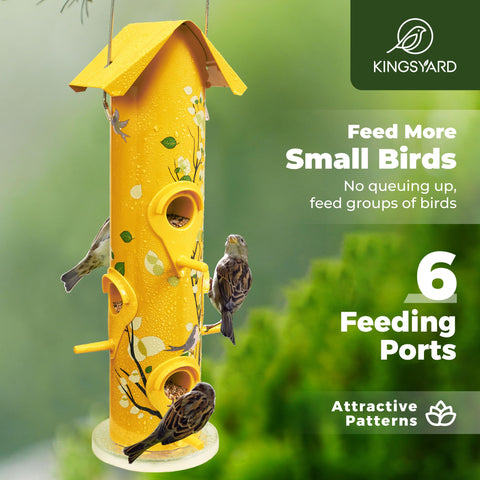 Kingsyard tube bird feeder with six ports offers sturdy, long-lasting outdoor use