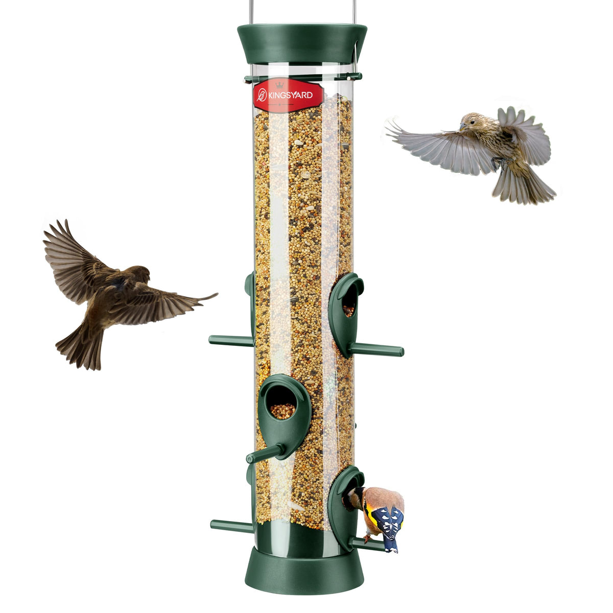 Kingsyard tube bird feeder with 6 port design invites multiple birds to feed.
