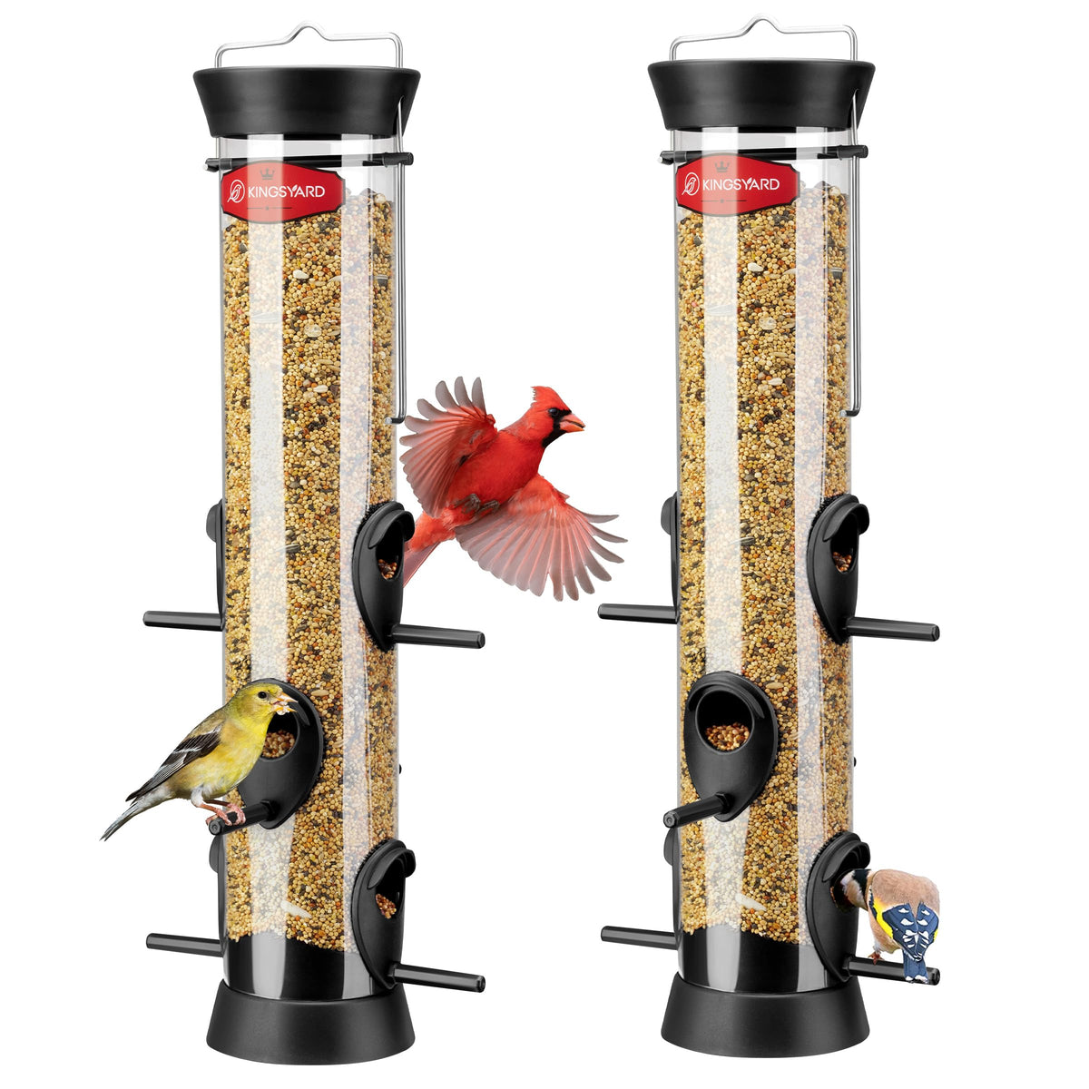 Kingsyard tube bird feeder with six ports attracts diverse songbirds.