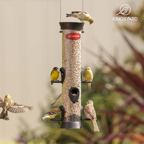 Kingsyard tube bird feeder viewed from the garden window for backyard bird watching.